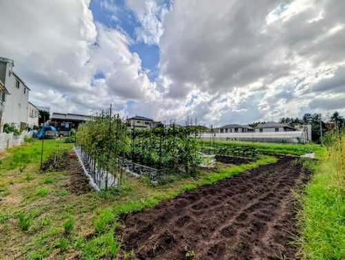 THE FARMERS BASE