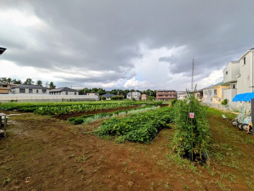 THE FARMERS BASE