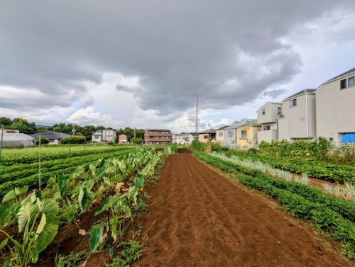 THE FARMERS BASE