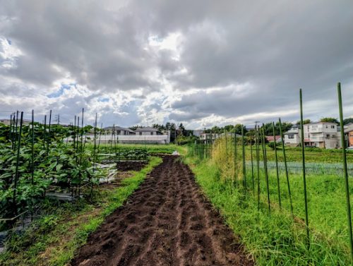 THE FARMERS BASE