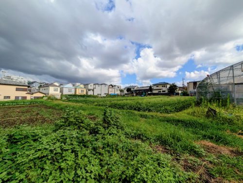 THE FARMERS BASE